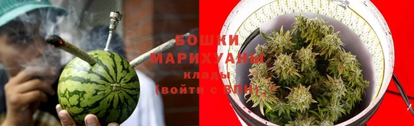 шишки Балахна
