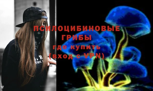 кокс Баксан