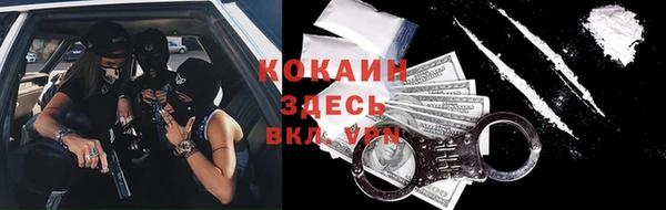 шишки Балахна
