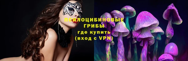 кокс Баксан