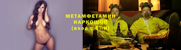 шишки Балахна