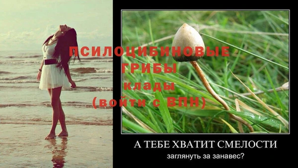 шишки Балахна