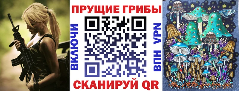 Галлюциногенные грибы Psilocybine cubensis  Серов 